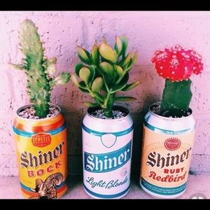 Meet your Posher, Stephen